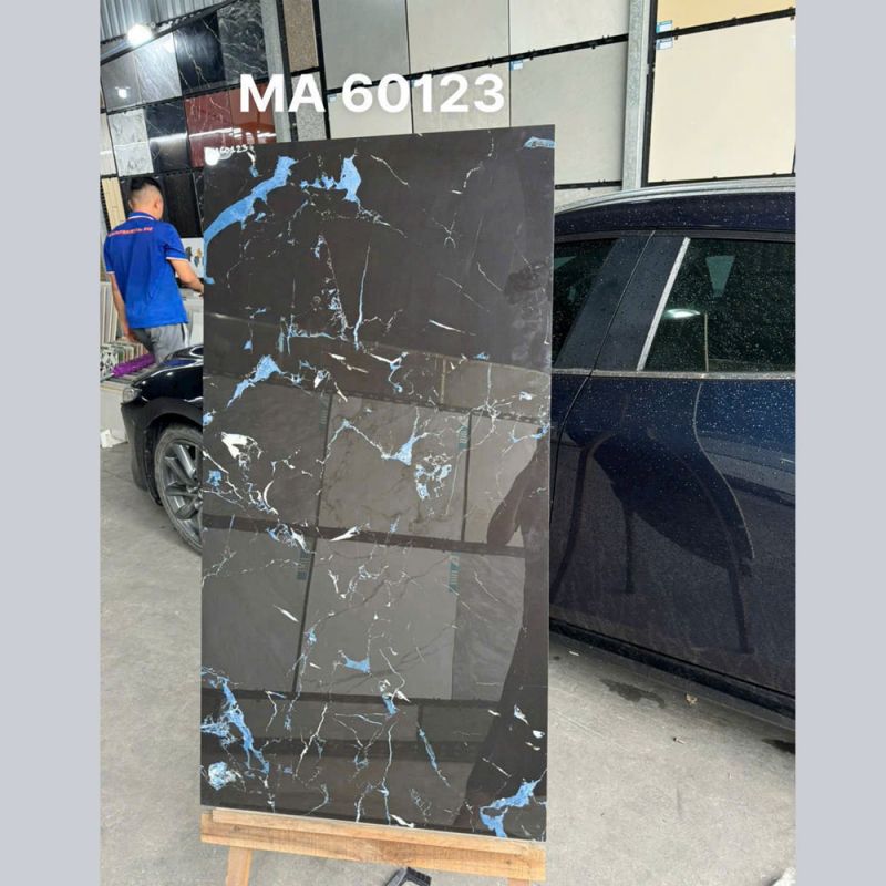 Gạch ốp tường Ấn độ 60x120 MA60123