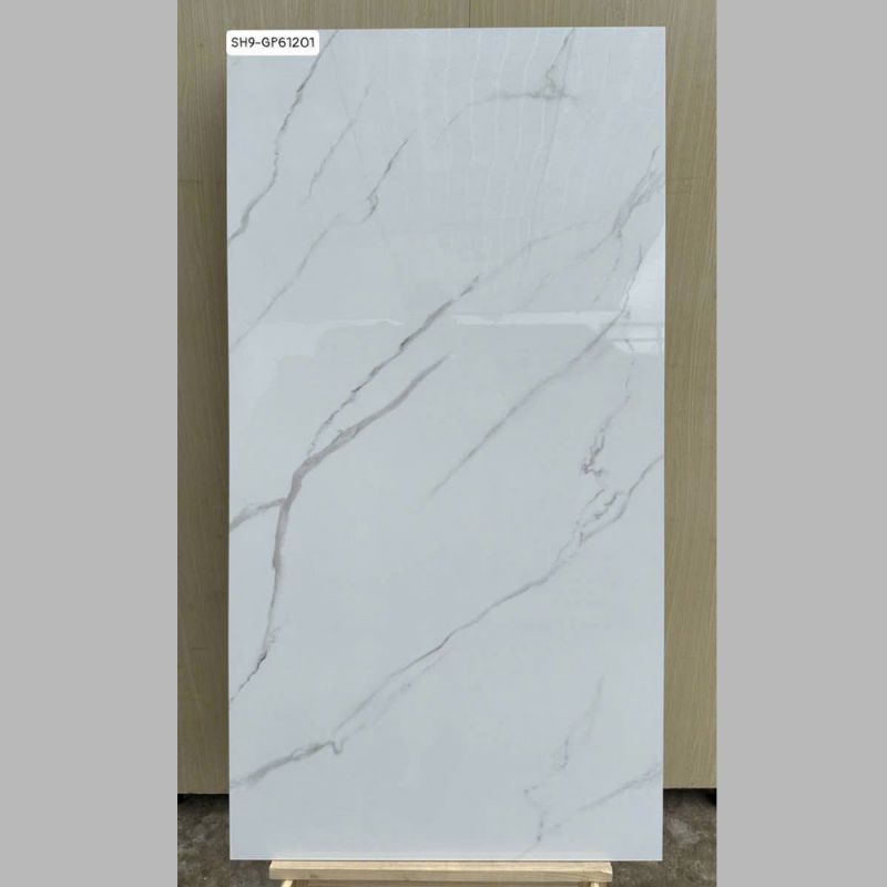 Gạch ốp tường Viglacera 60x120 SH9-GP61201