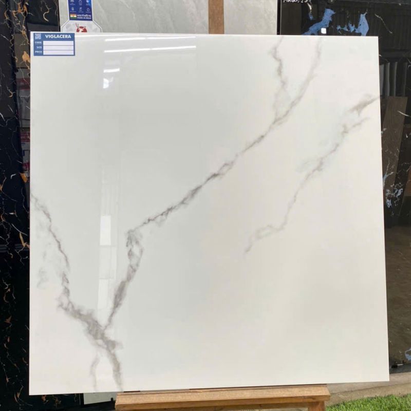 Gạch lát nền Vigalcera 80x80