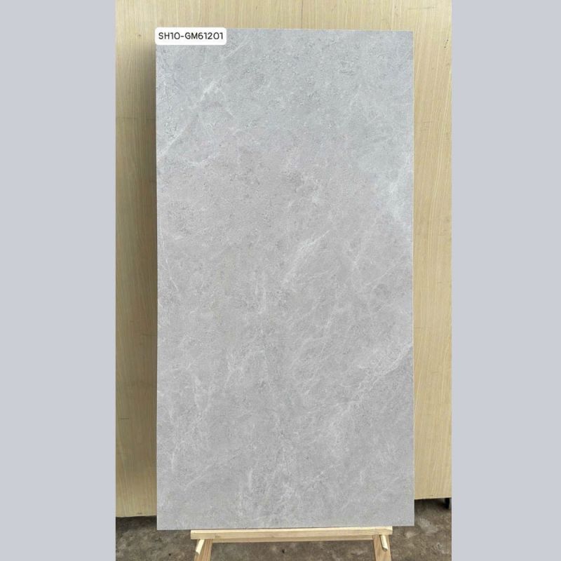 Gạch ốp tường Viglacera 60x120 SH10-GM61201