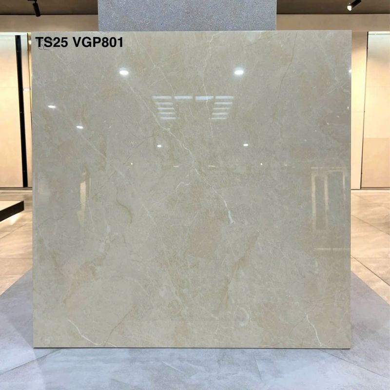 Gạch lát nền Vigalcera 80x80 TS25-VGP801