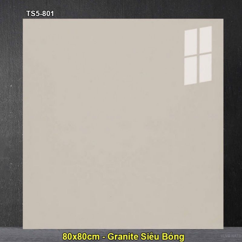 Gạch lát nền Vigalcera 80x80 TS5-801