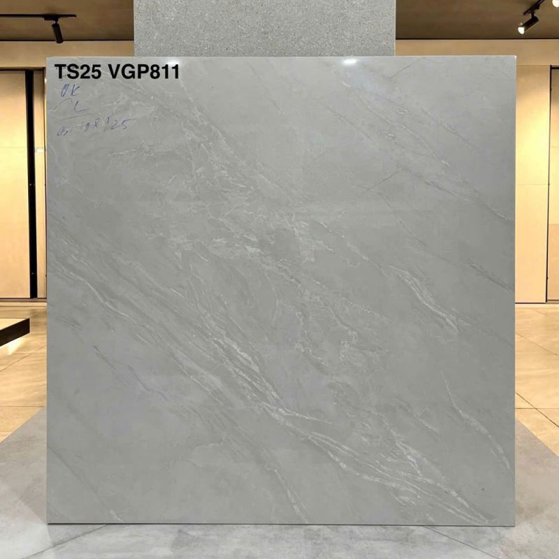 Gạch lát nền Vigalcera 80x80 TS25-VGP811