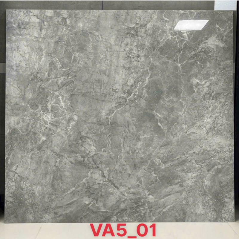 Gạch lát nền Vigalcera 100x100 VA5-01