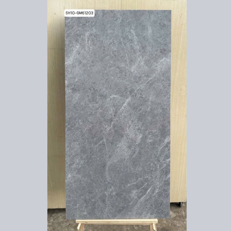 Gạch ốp tường Viglacera 60x120 SH10-GM61203