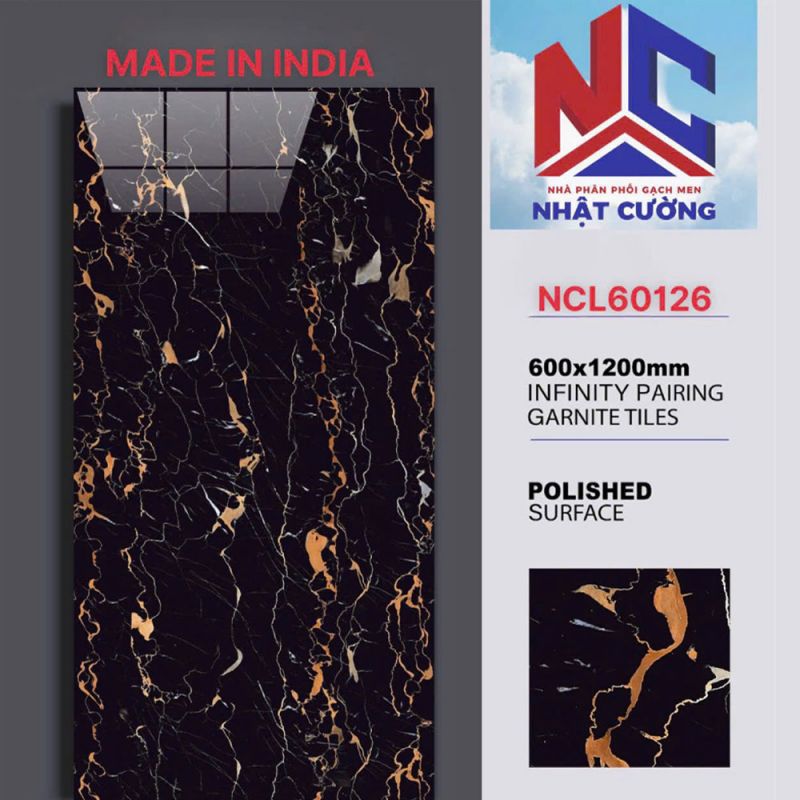 Gạch ốp tường Ấn độ 60x120 NCL60126