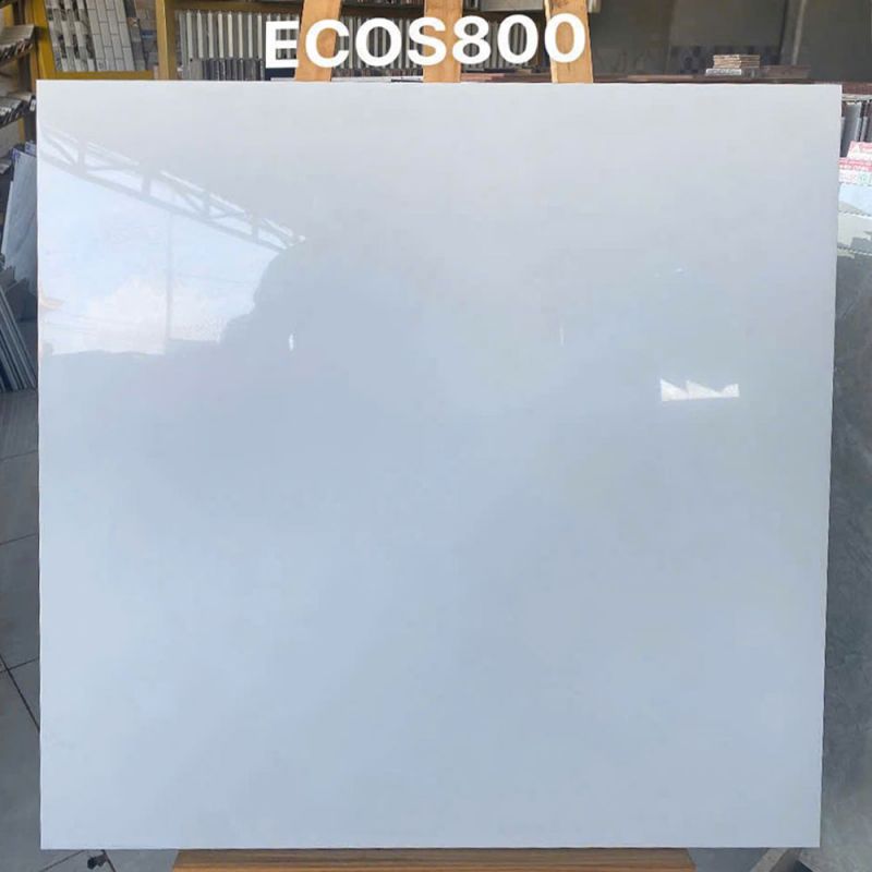Gạch lát nền Vigalcera 80x80 ECOS800