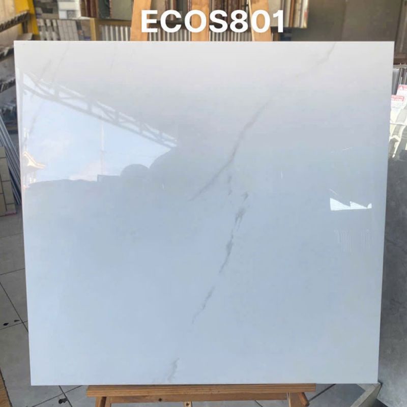 Gạch lát nền Vigalcera 80x80 ECOS801