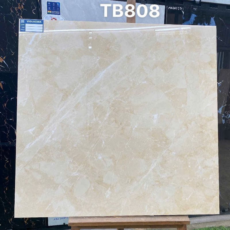 Gạch lát nền Vigalcera 80x80 TB808