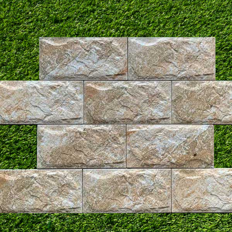 Gạch lát nền 10x20